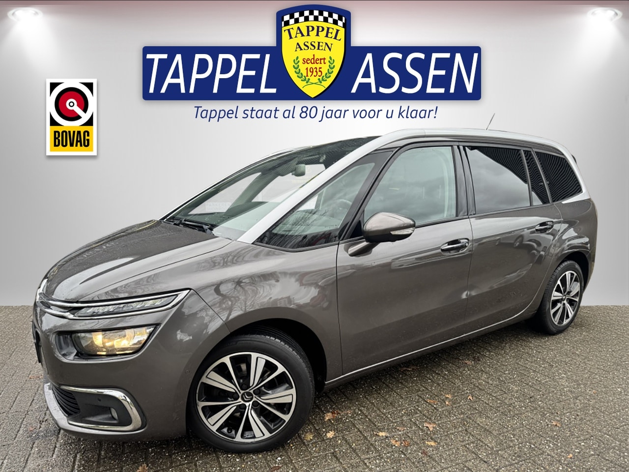 Citroën Grand C4 Picasso - 2.0 HDi 150PK!! Shine/ Full Options!!/ NAP!! - AutoWereld.nl