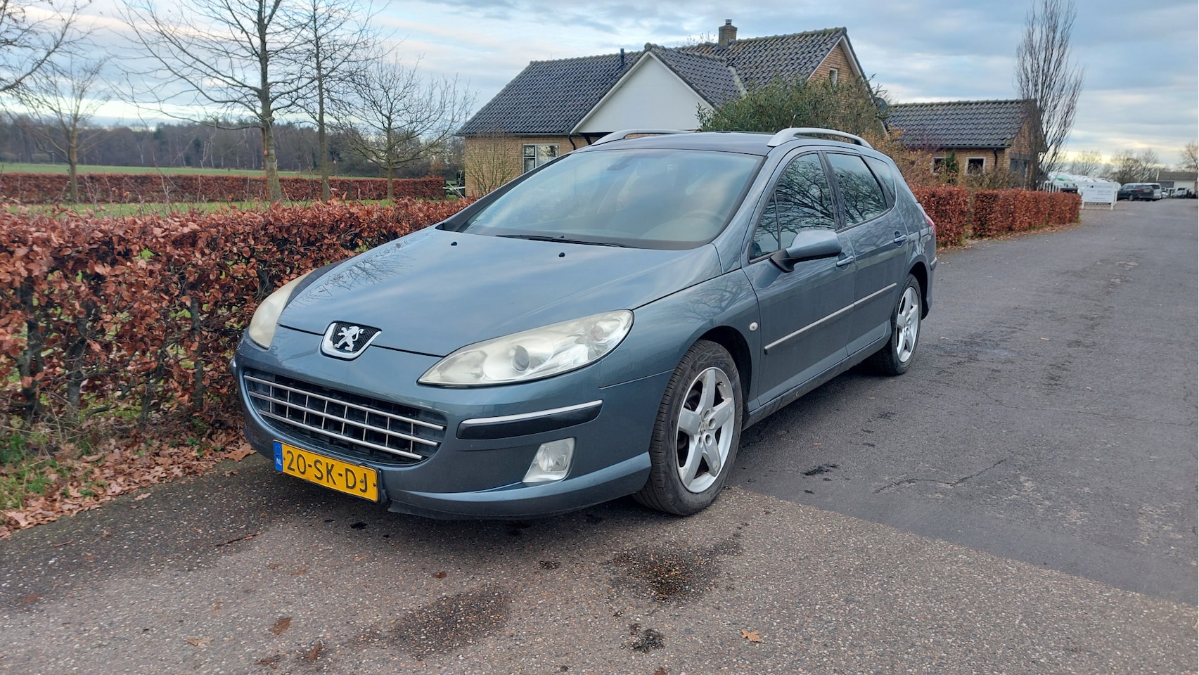 Peugeot 407 SW - 2.0-16V XS CLIMA/PANO BJ 2006 - AutoWereld.nl