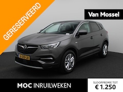 Opel Grandland X - 1.2 Turbo Business Executive | Navi | ECC | Pano | PDC |