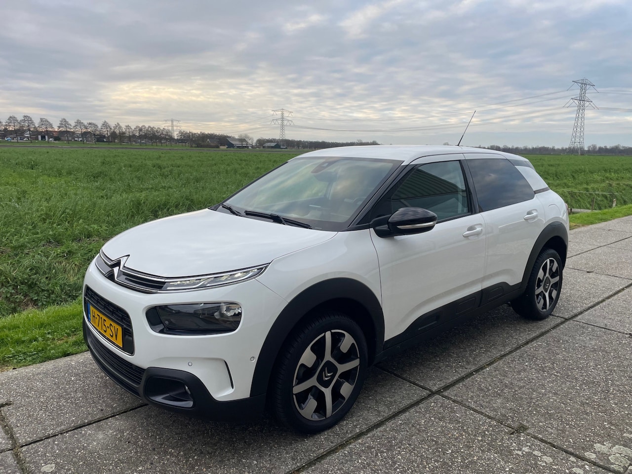 Citroën C4 Cactus - 1.2 PureTech Shine 1.2 PureTech Shine, Camera, Navigatie, Nederlandse auto. - AutoWereld.nl