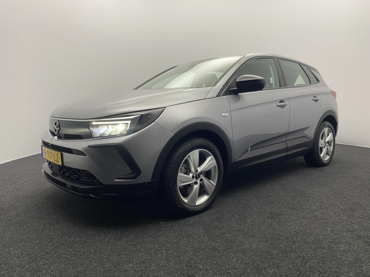 Opel Grandland X - 1.6 Turbo Hybrid Business Edition - AutoWereld.nl