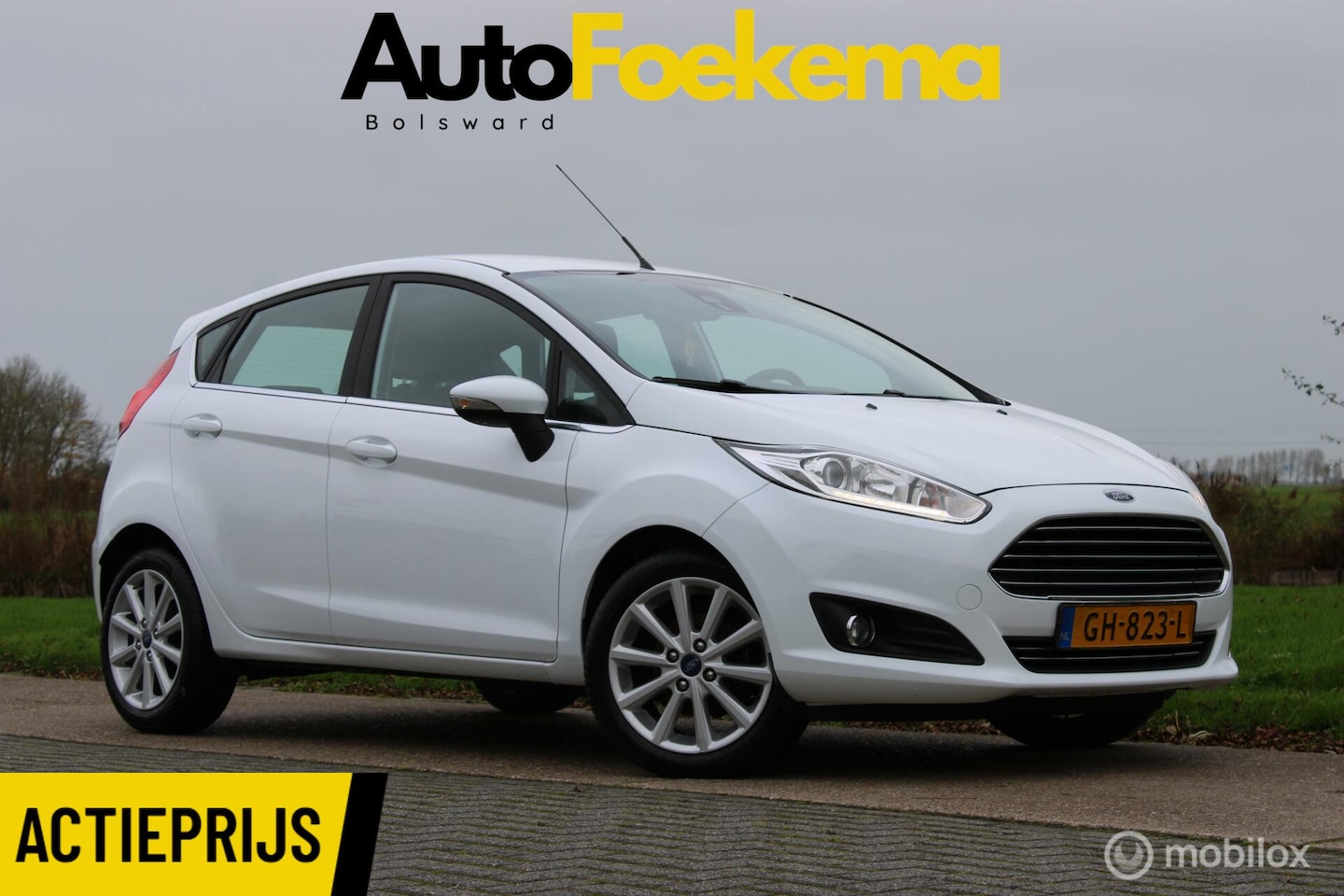 Ford Fiesta - 1.0 EcoBoost Titanium AUTOMAAT XENON NAVIGATIE - AutoWereld.nl