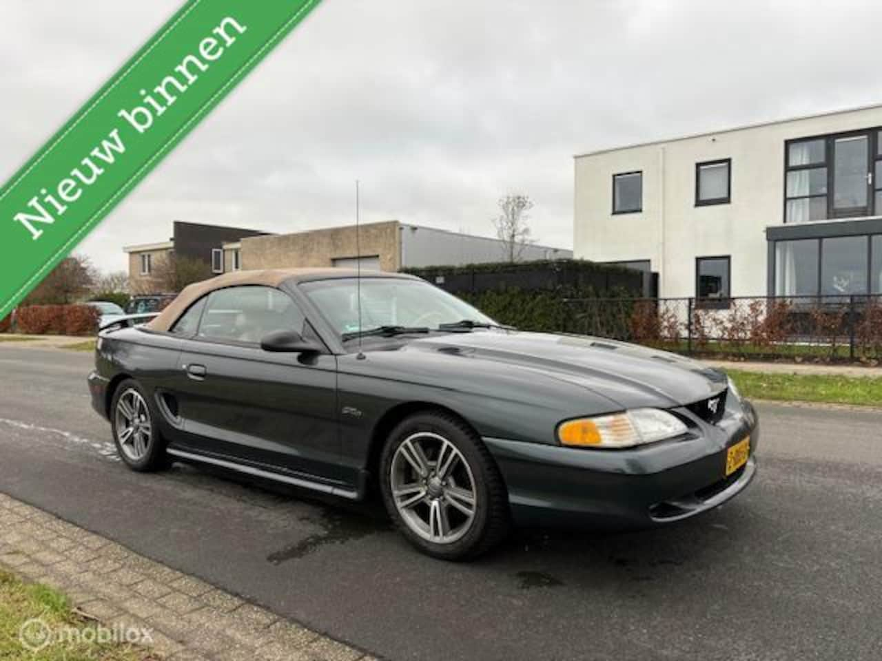 Ford Mustang Convertible - USA 5.0 V8 - AutoWereld.nl