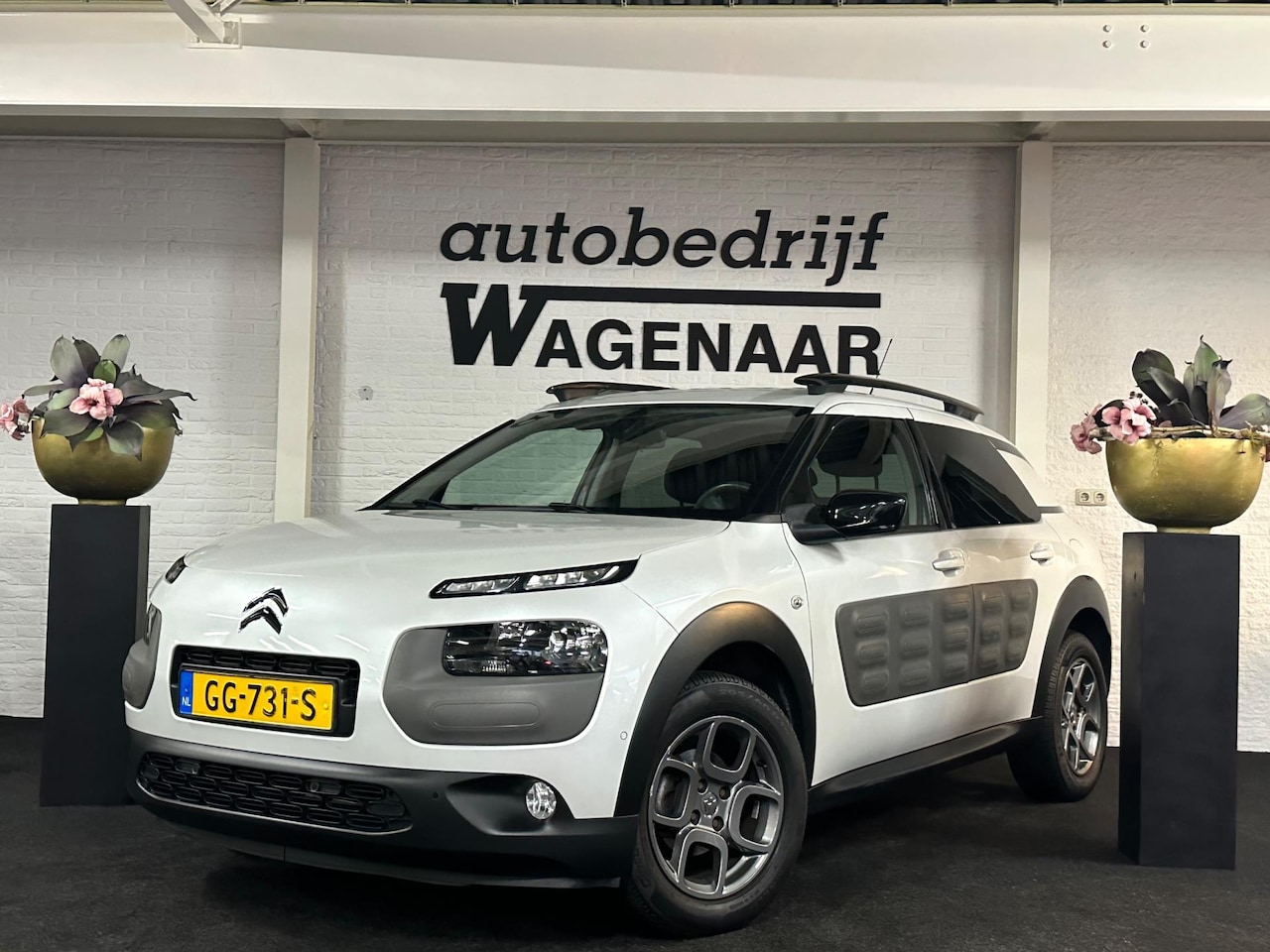 Citroën C4 Cactus - 1.2 e-VTi Shine Automaat/Camera - AutoWereld.nl