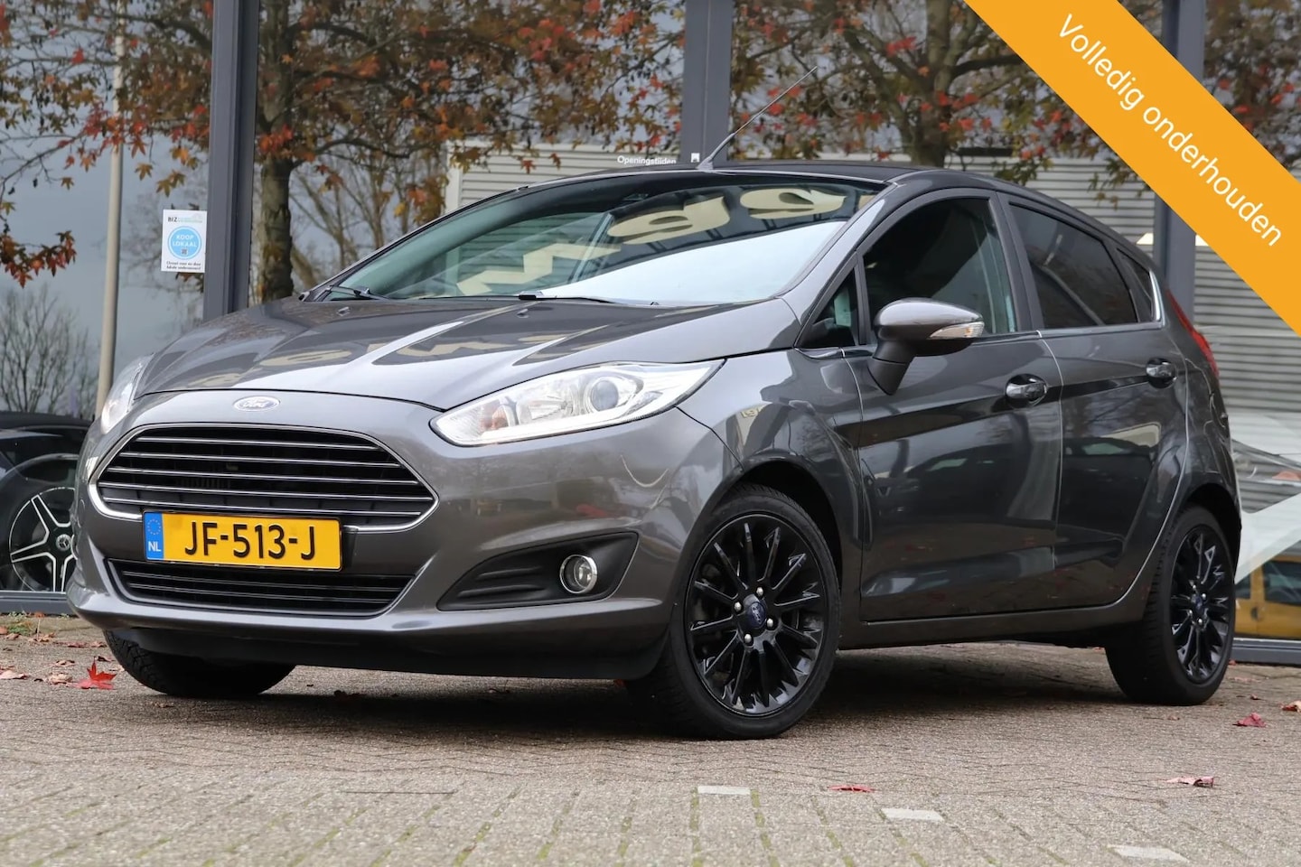 Ford Fiesta - 1.0 EcoBoost Titanium 1.0 EcoBoost Titanium - AutoWereld.nl