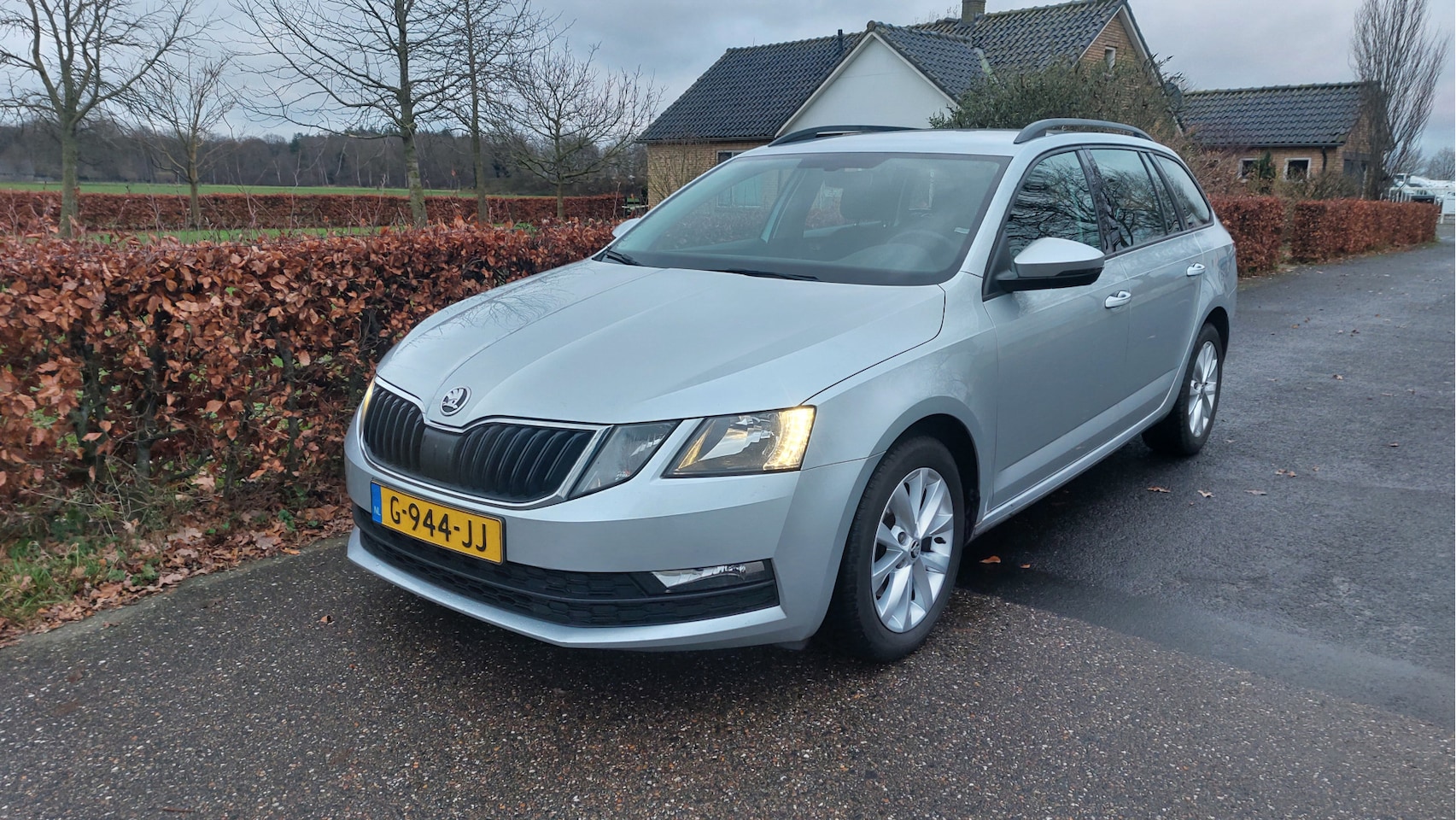 Skoda Octavia Combi - 1.0 TSI Greentech Business Edition ECC/NAVI BJ 2019 - AutoWereld.nl