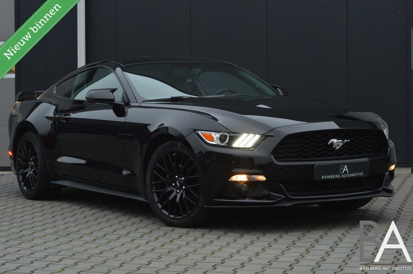 Ford Mustang Fastback - 2.3 EcoBoost 2.3 EcoBoost - AutoWereld.nl