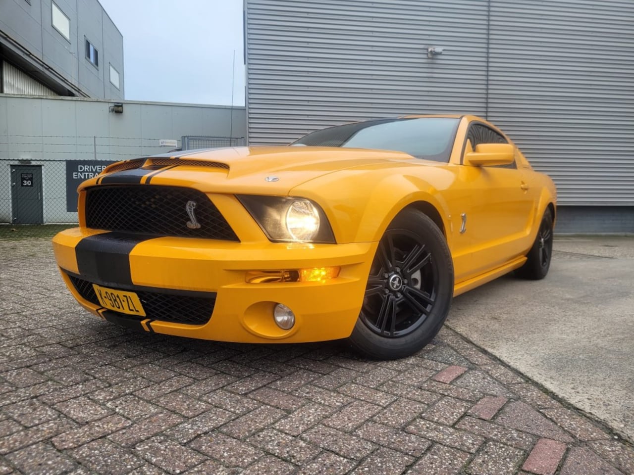 Ford Mustang - GT V8 305 PK - AutoWereld.nl