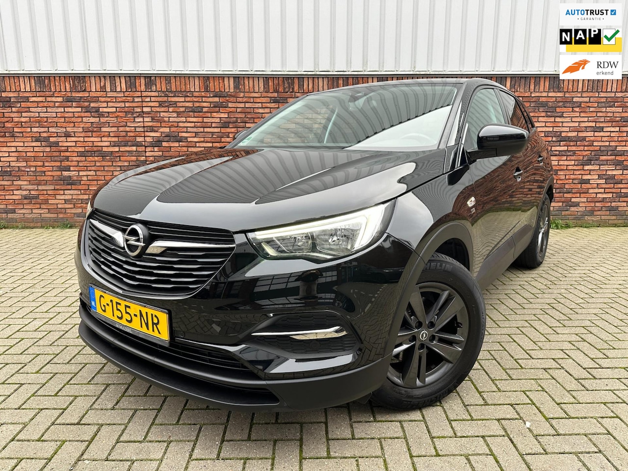 Opel Grandland X - 1.2 Turbo 120 Jaar Edition 1.2 Turbo 120 Jaar Edition - AutoWereld.nl