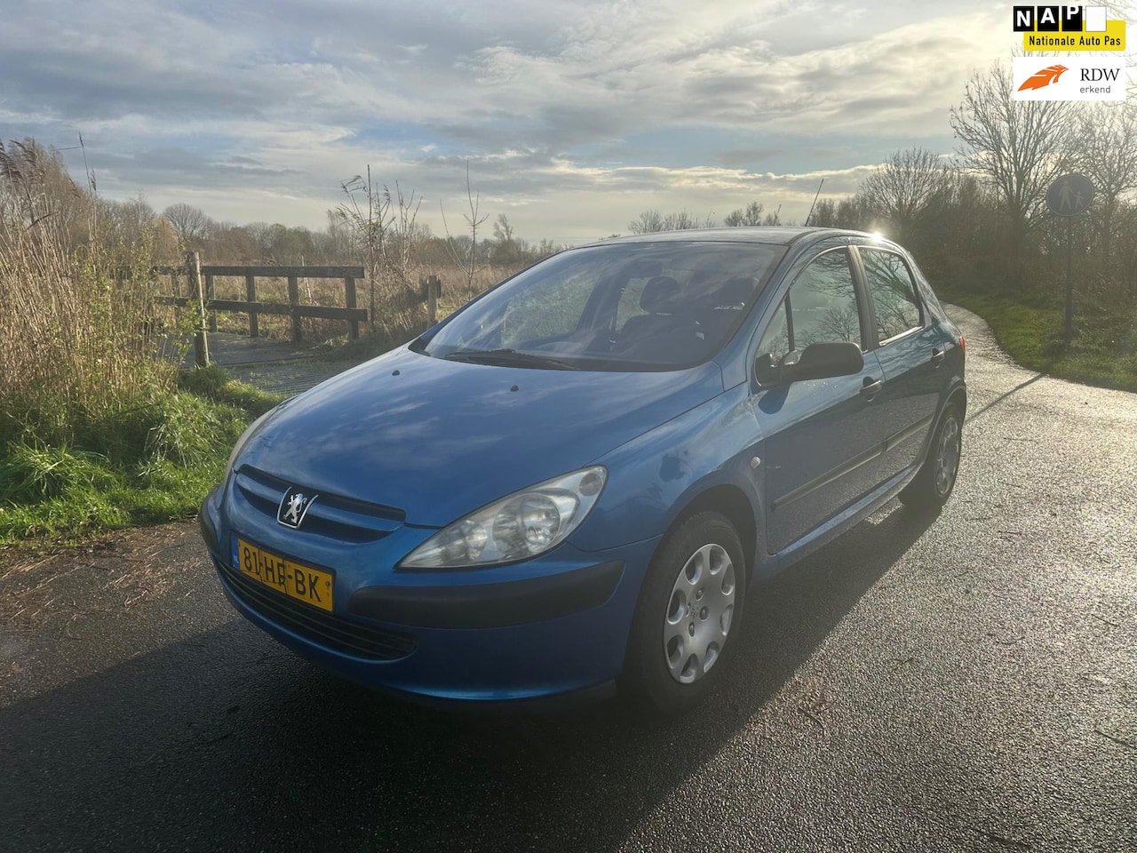 Peugeot 307 - 1.6-16V XR Airco Benzine - AutoWereld.nl