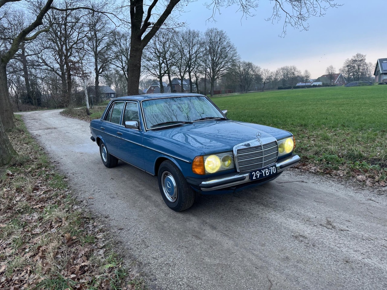 Mercedes-Benz 200-280 (W123) - 250 6 cilinder / LPG / 1976 - AutoWereld.nl