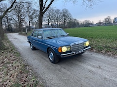 Mercedes-Benz 200-280 (W123) - 250 6 cilinder / LPG / 1976