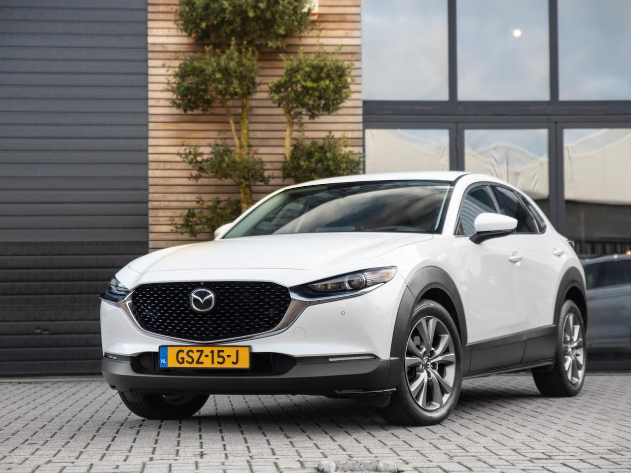 Mazda CX-30 - 2.0 AWD e-SkyActiv M Hybrid Leer Bose ACC 360 - AutoWereld.nl