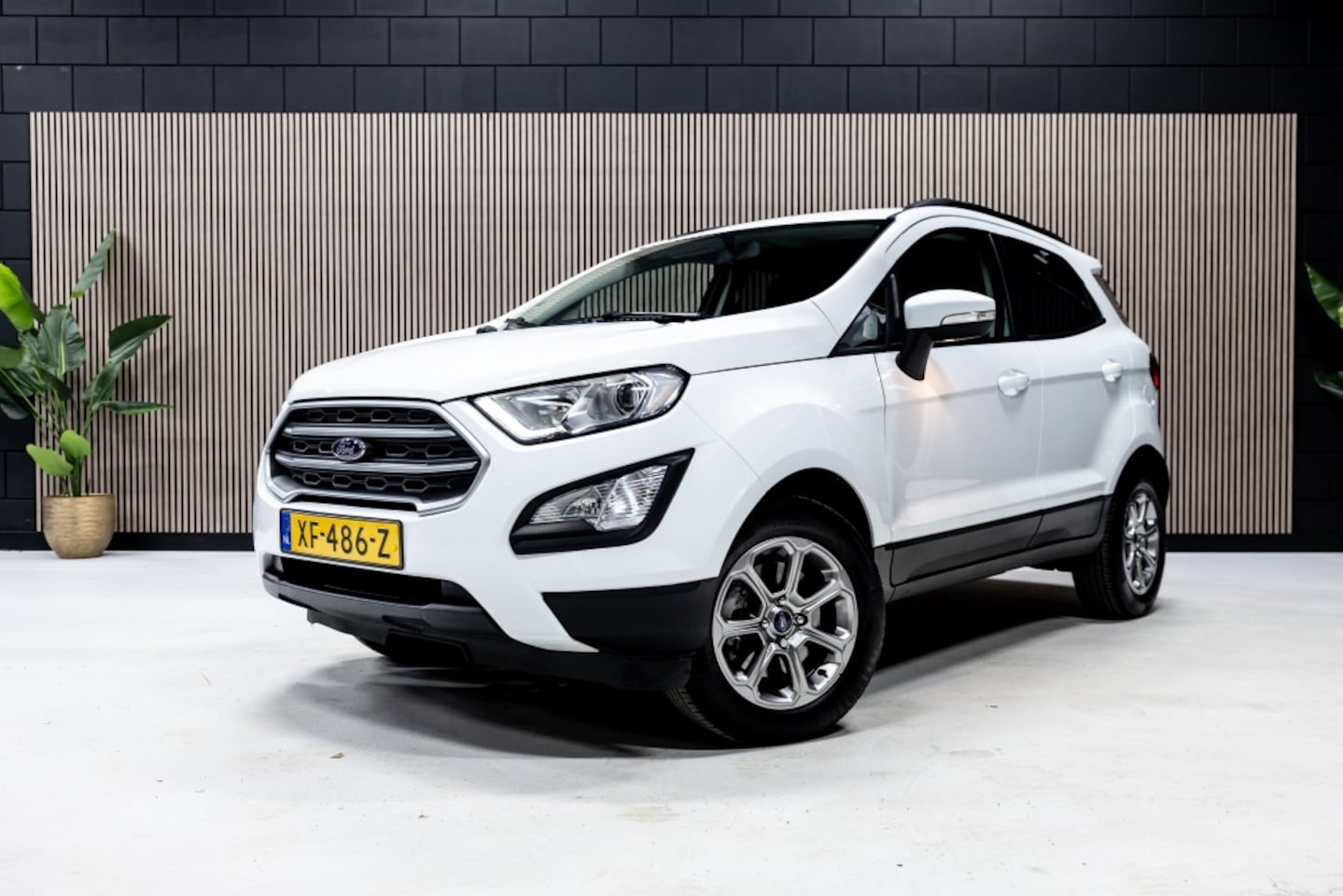 Ford EcoSport - 1.0 EB Trend Ultim. - AutoWereld.nl