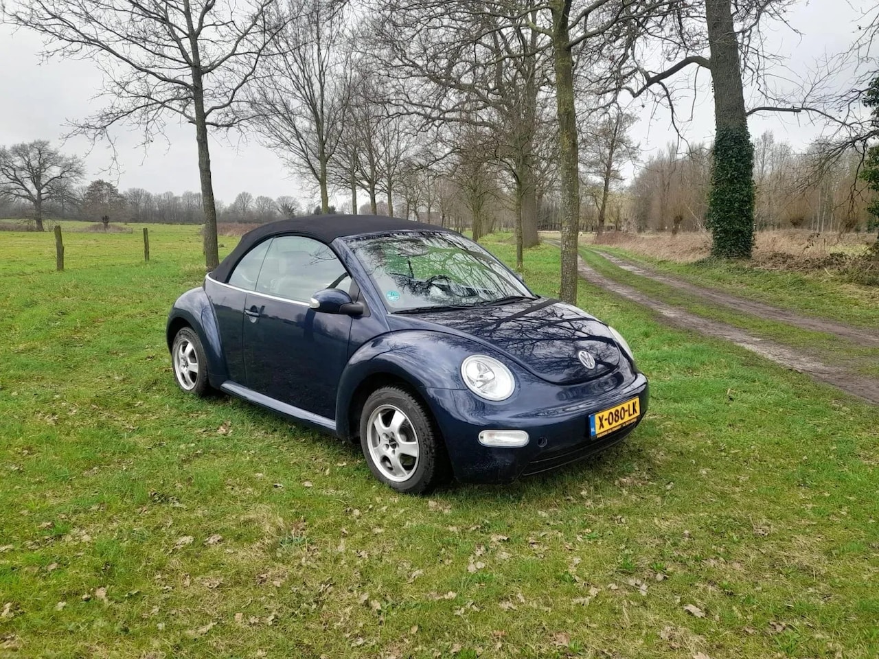 Volkswagen Beetle Cabriolet - 1600 jubileum edition - AutoWereld.nl