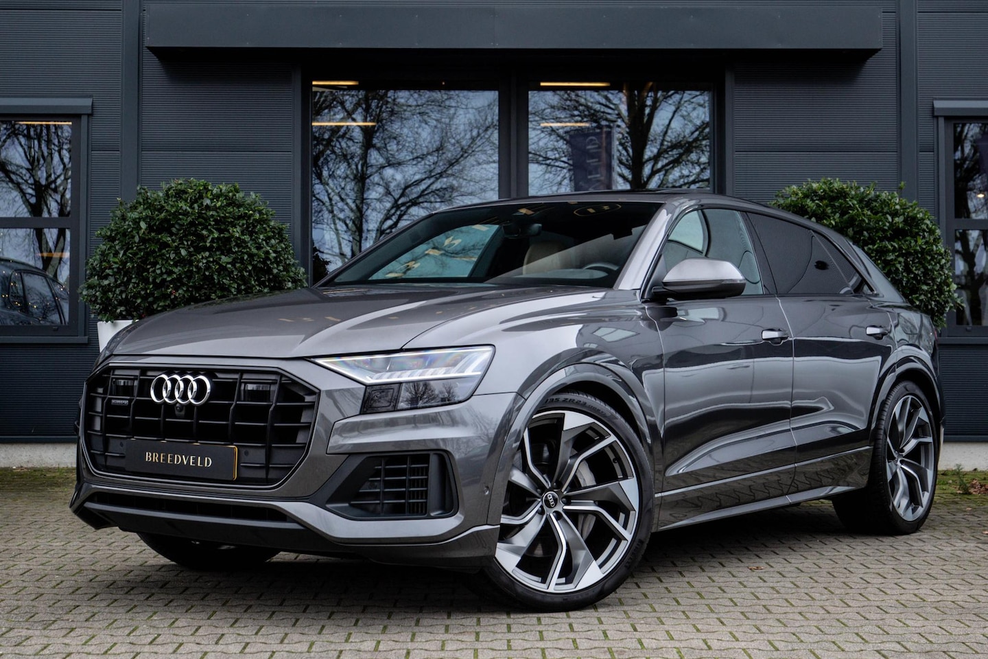 Audi Q8 - 55 TFSI e quattro Pro Line Plus 55 TFSI e quattro Pro Line Plus - AutoWereld.nl