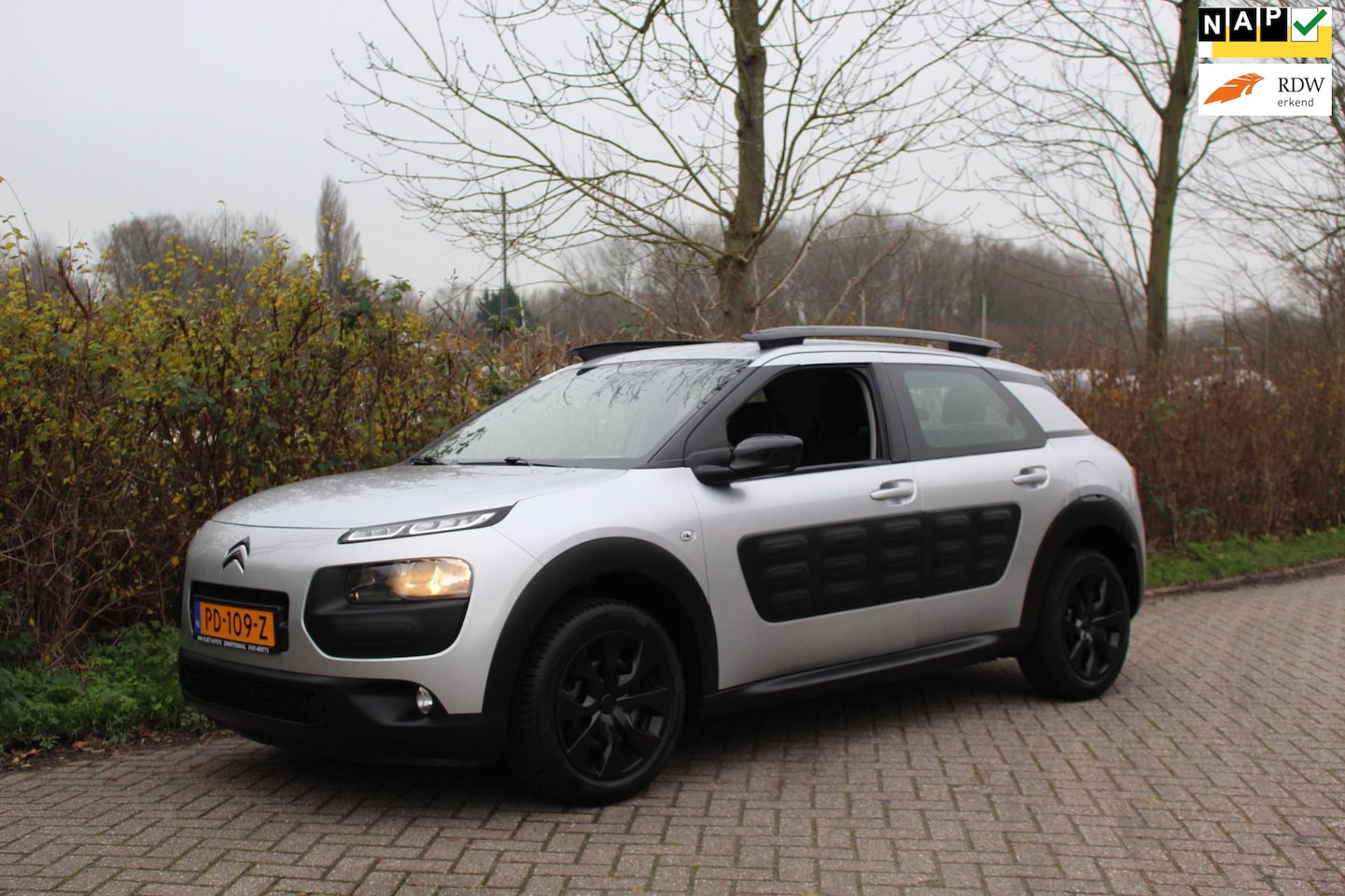 Citroën C4 Cactus - 1.2 PureTech Feel *Navigatie - AutoWereld.nl