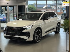 Audi Q4 e-tron - Competition, Ruitjesleer, Panodak, ACC, Black Optiek