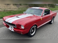 Ford Mustang Fastback - GT350 Tribute