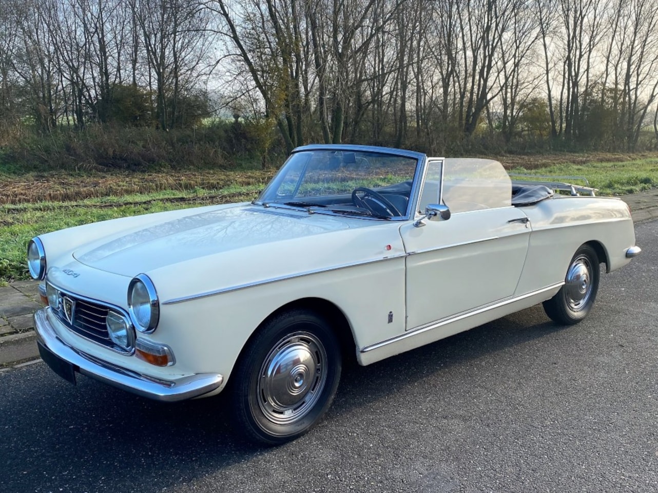 Peugeot 404 - Cabriolet - AutoWereld.nl