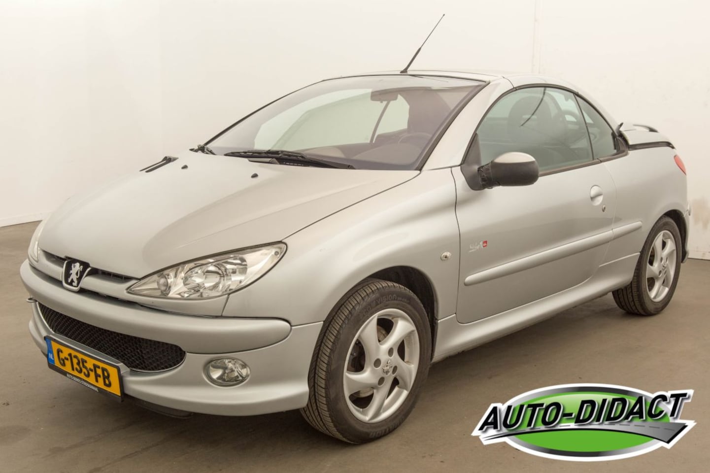 Peugeot 206 CC - 1.6-16V Premium Elek dak - AutoWereld.nl