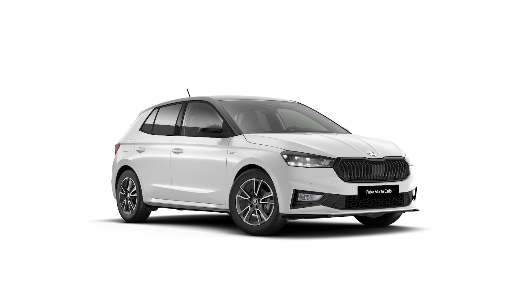 Skoda Fabia - 1.0 TSI Greentech 95 5MT Monte Carlo Verwarmbare stoelen voor | Achteruitrijcamera - AutoWereld.nl