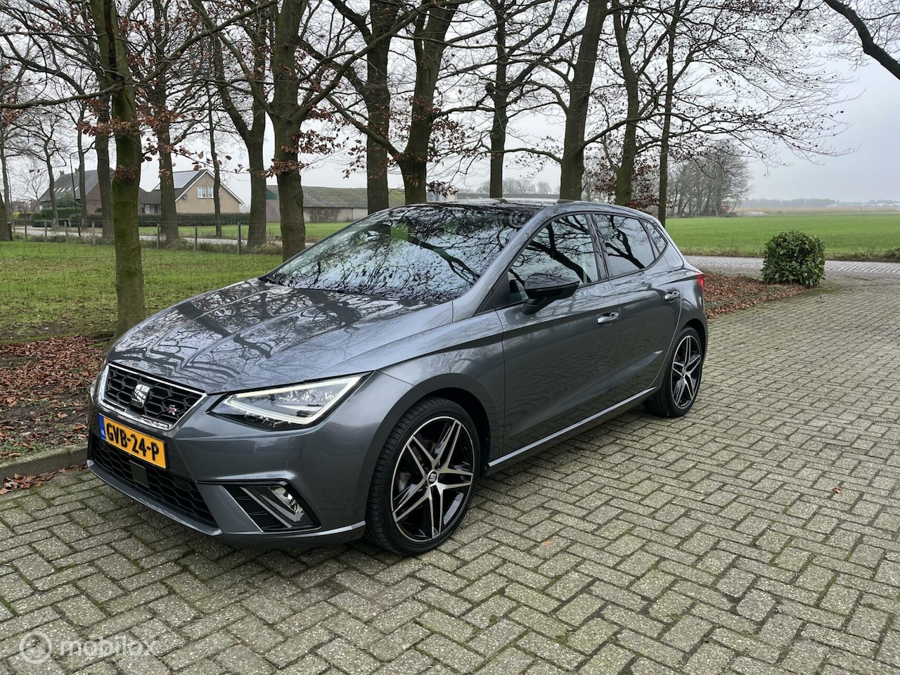 Seat Ibiza - 1.0 TSI FR Business Intense carplay, pano cruise - AutoWereld.nl