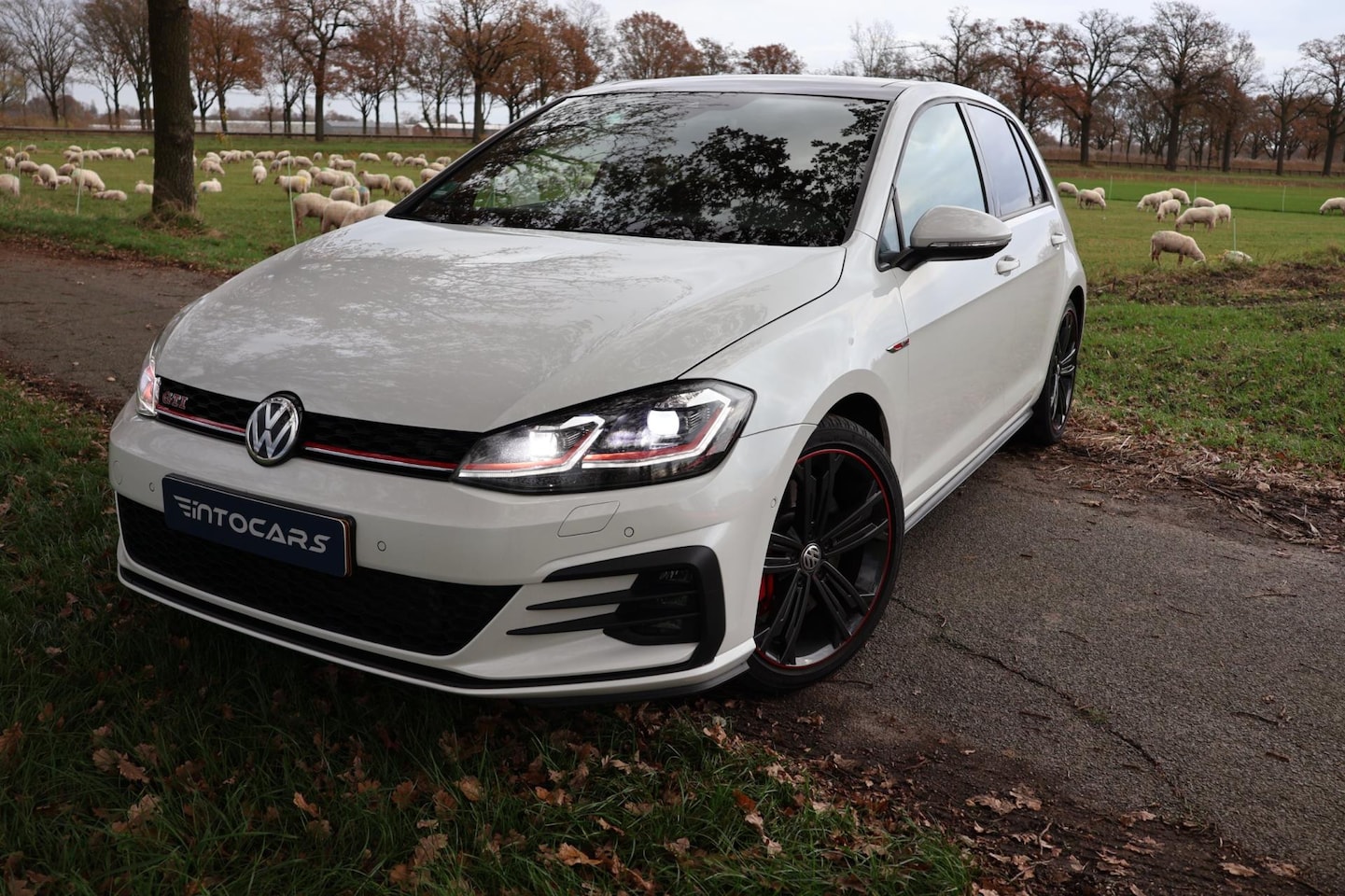 Volkswagen Golf - 2.0 TSI GTI Performance | Brembo | ALLE opties - AutoWereld.nl