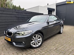 BMW 2-serie Cabrio - 220i. Automaat, Org NL, Leder, Navi Prof