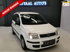 Fiat Panda - 1.2 Dynamic |ELEK.RAMEN|NAP|APK