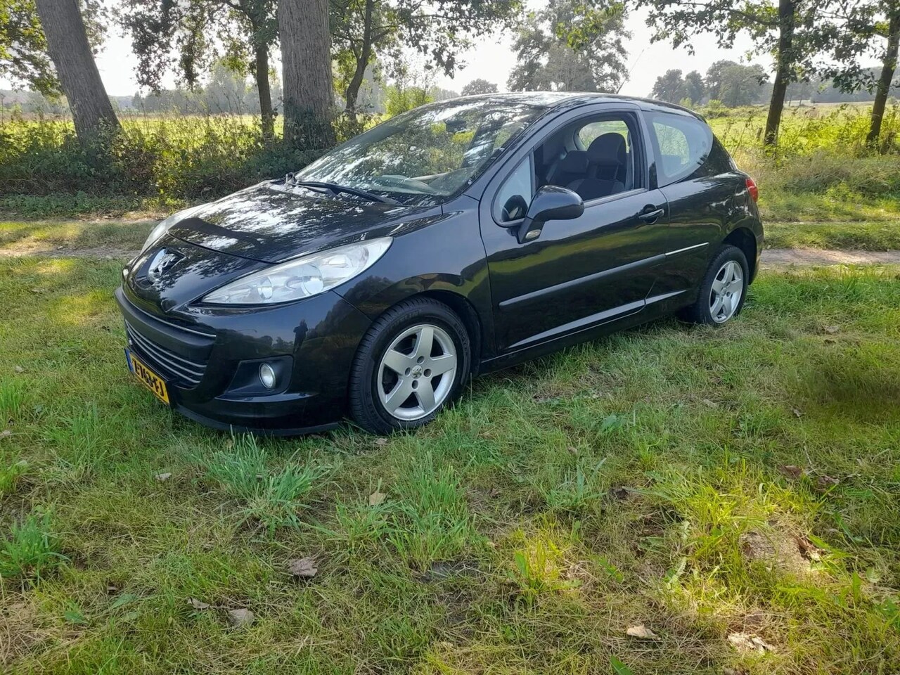 Peugeot 207 - 1.4 XR 1.4 XR - AutoWereld.nl