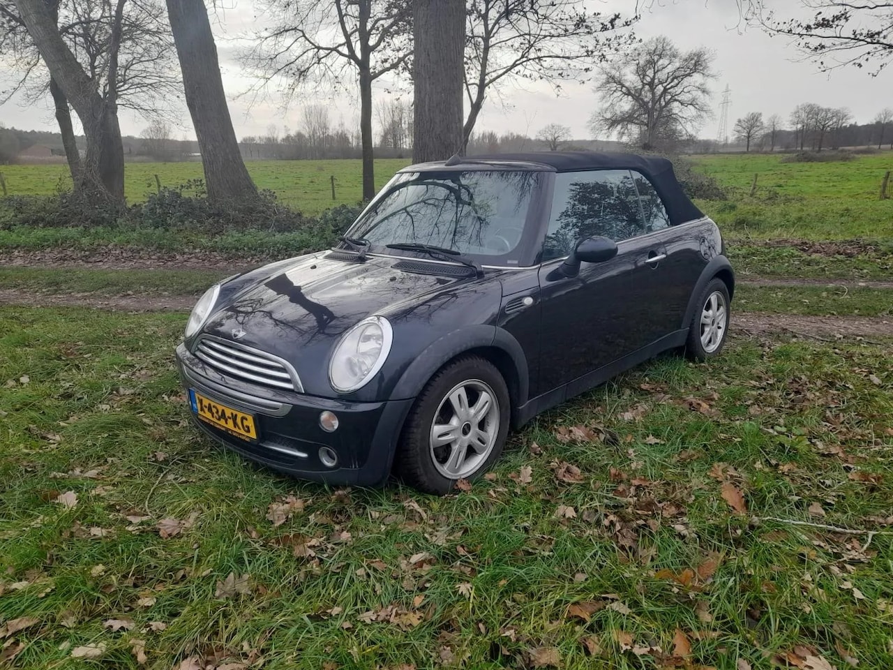 MINI Cabrio - 1.6 Cooper Mini 1.6 Cooper - AutoWereld.nl