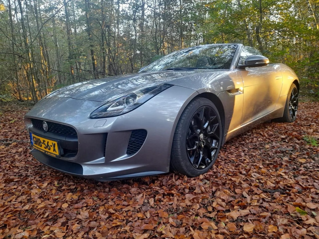 Jaguar F-type - 3.0 V6 Convertible cabrio - AutoWereld.nl