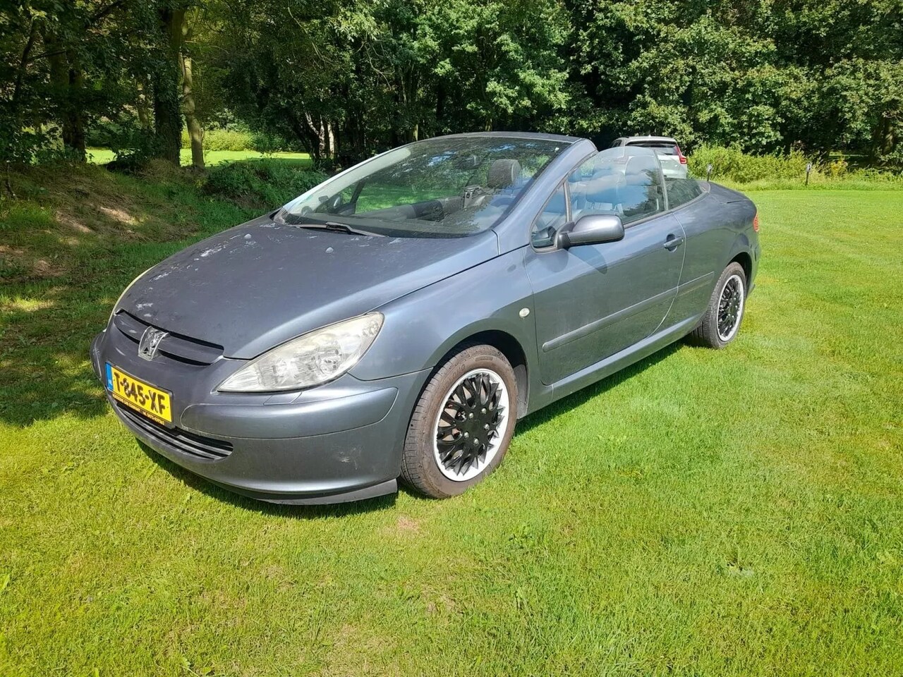 Peugeot 307 CC - 2.0-16V 2.0-16V - AutoWereld.nl