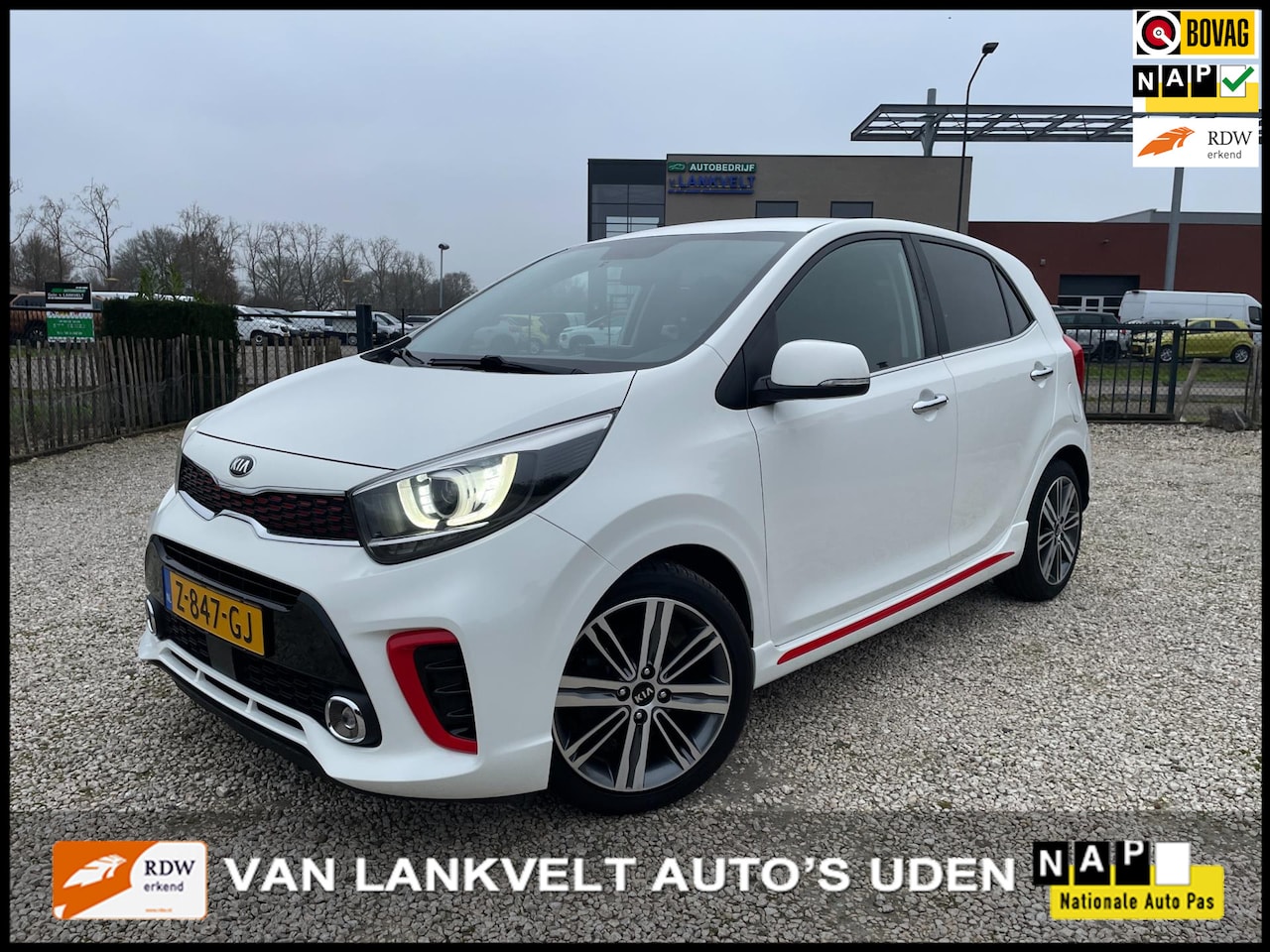 Kia Picanto - 1.2 84pk GT-Line Apple Carplay, Leder, 16 inch, fabrieksgarantie! - AutoWereld.nl