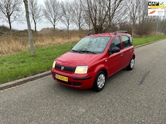 Fiat Panda - 1.2 Classic