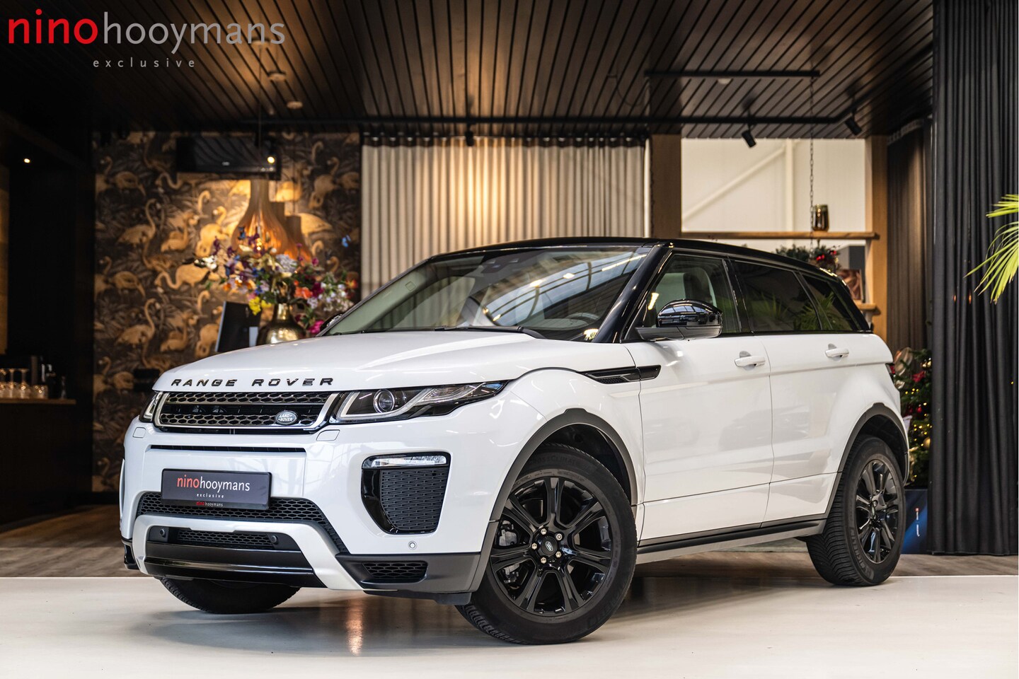 Land Rover Range Rover Evoque - 2.0 Si4 SE Dynamic | Panorama | BlackPack | Elektrische stoelen | Terrain Response - AutoWereld.nl