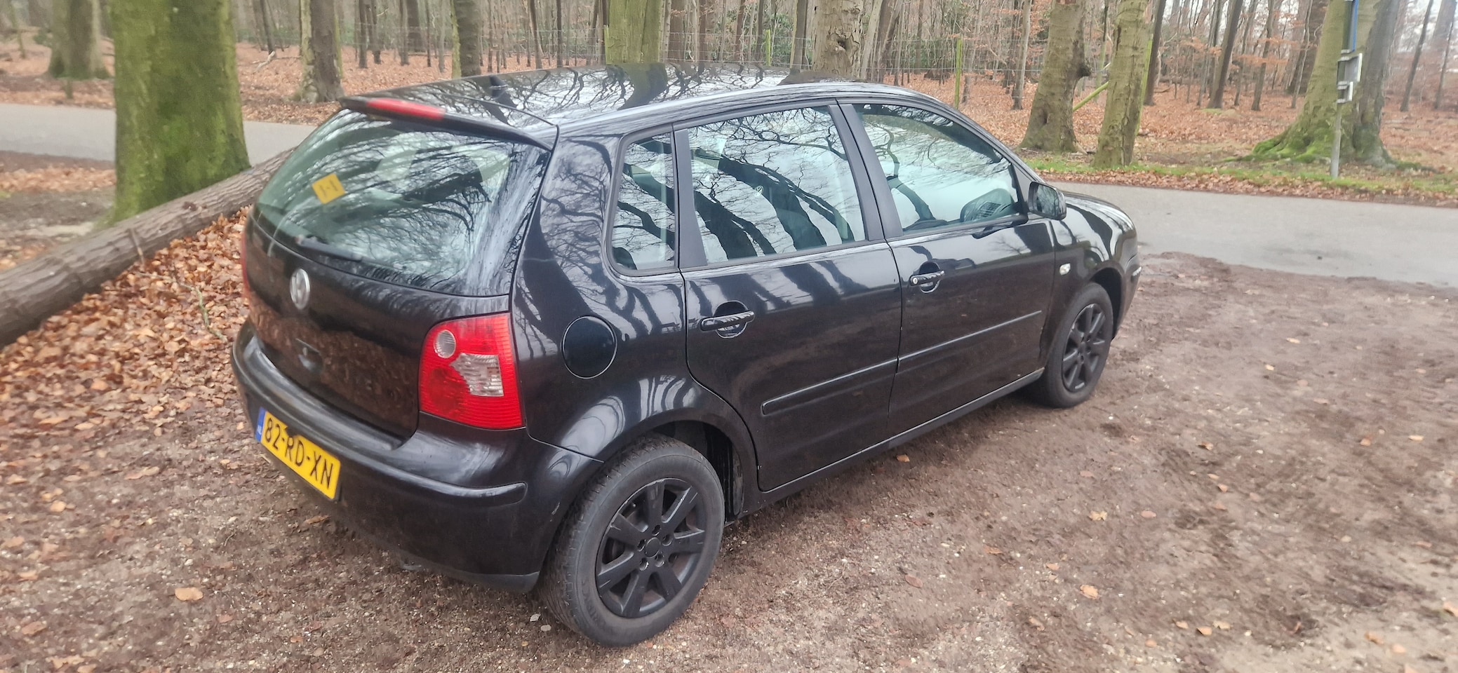 Volkswagen Polo - 1.2-12V Turijn - AutoWereld.nl