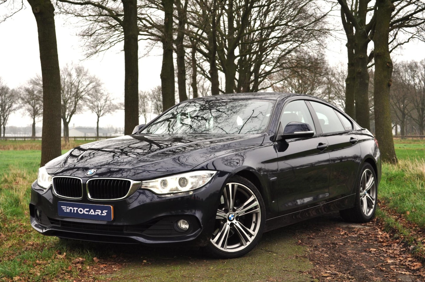 BMW 4-serie Gran Coupé - 430d Executive | LEDER/19 INCH/Elektr.Stoel. - AutoWereld.nl