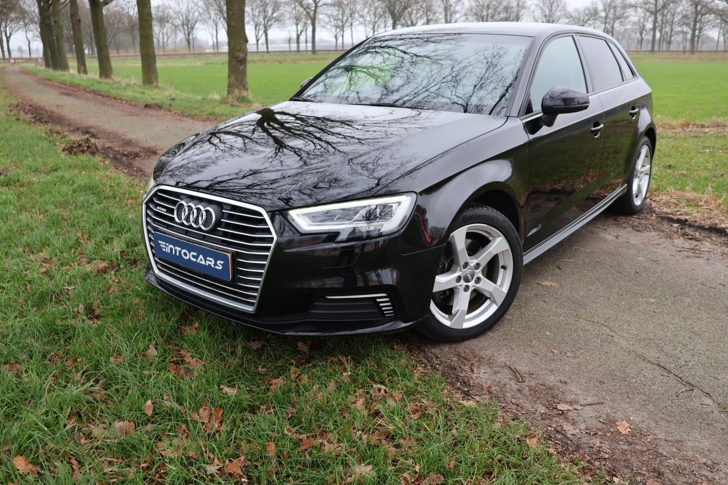 Audi A3 Sportback - 40 e-tron Advance Sport 40 e-tron Advance Sport - AutoWereld.nl