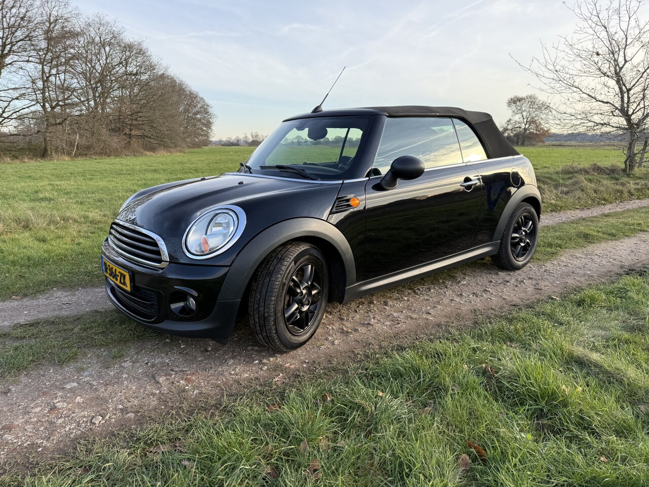 MINI Cabrio - Mini 1.6 One Pepper. Climate,cruise,stoelverw. Zeer mooi !! - AutoWereld.nl