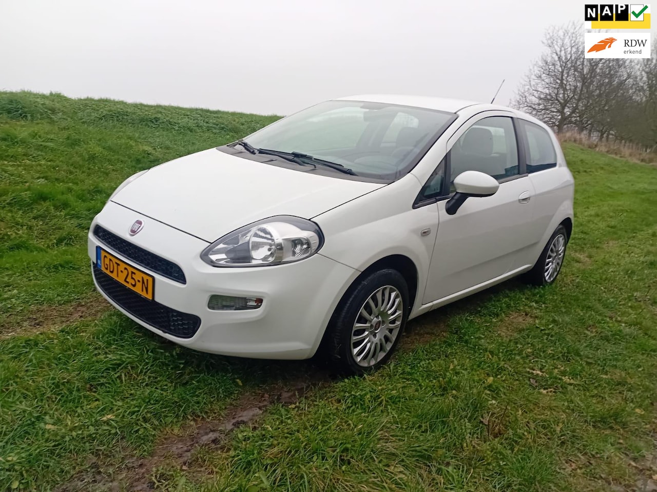 Fiat Punto Evo - 1.2i Street Airco 129.426 km Audio Aux City Steering El. Ramen Spiegels Nwe APK - AutoWereld.nl