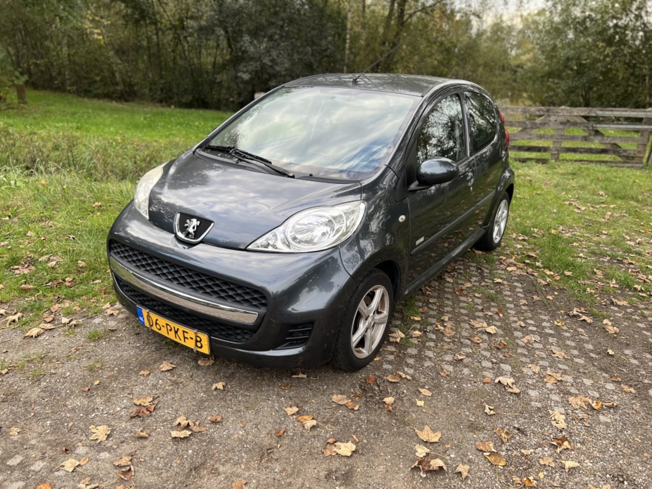 Peugeot 107 - 1.0-12V Millesim 200 AIRCO - AutoWereld.nl