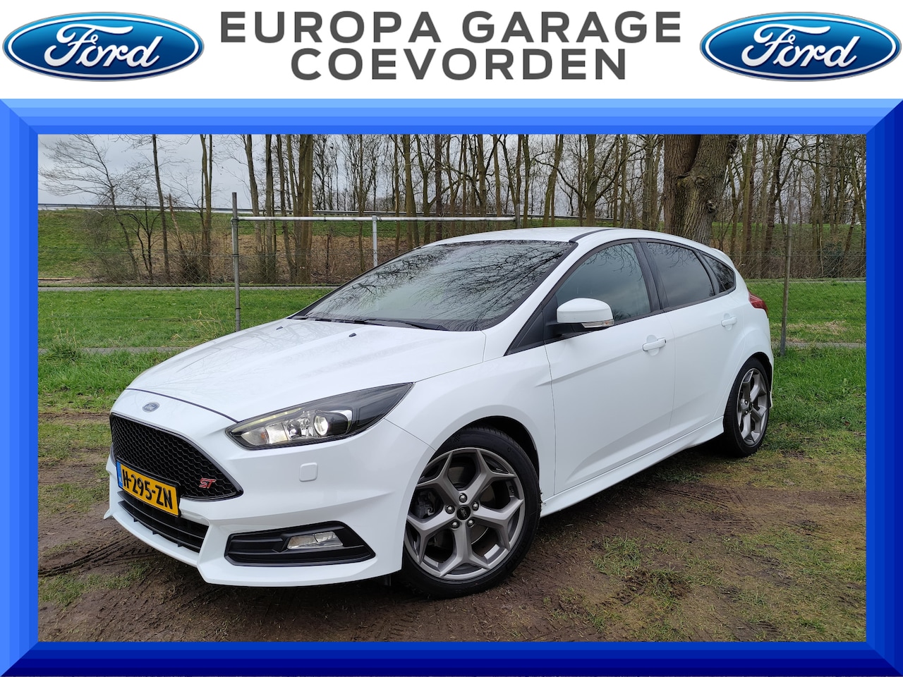 Ford Focus - 2.0 ST 250PK | CRUISE | CLIMA | CARPLAY NAVI | - AutoWereld.nl