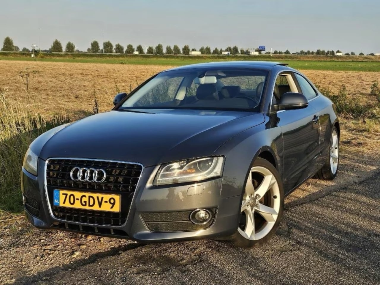 Audi A5 Coupé - 3.2 FSI quattro Pro Line - AutoWereld.nl