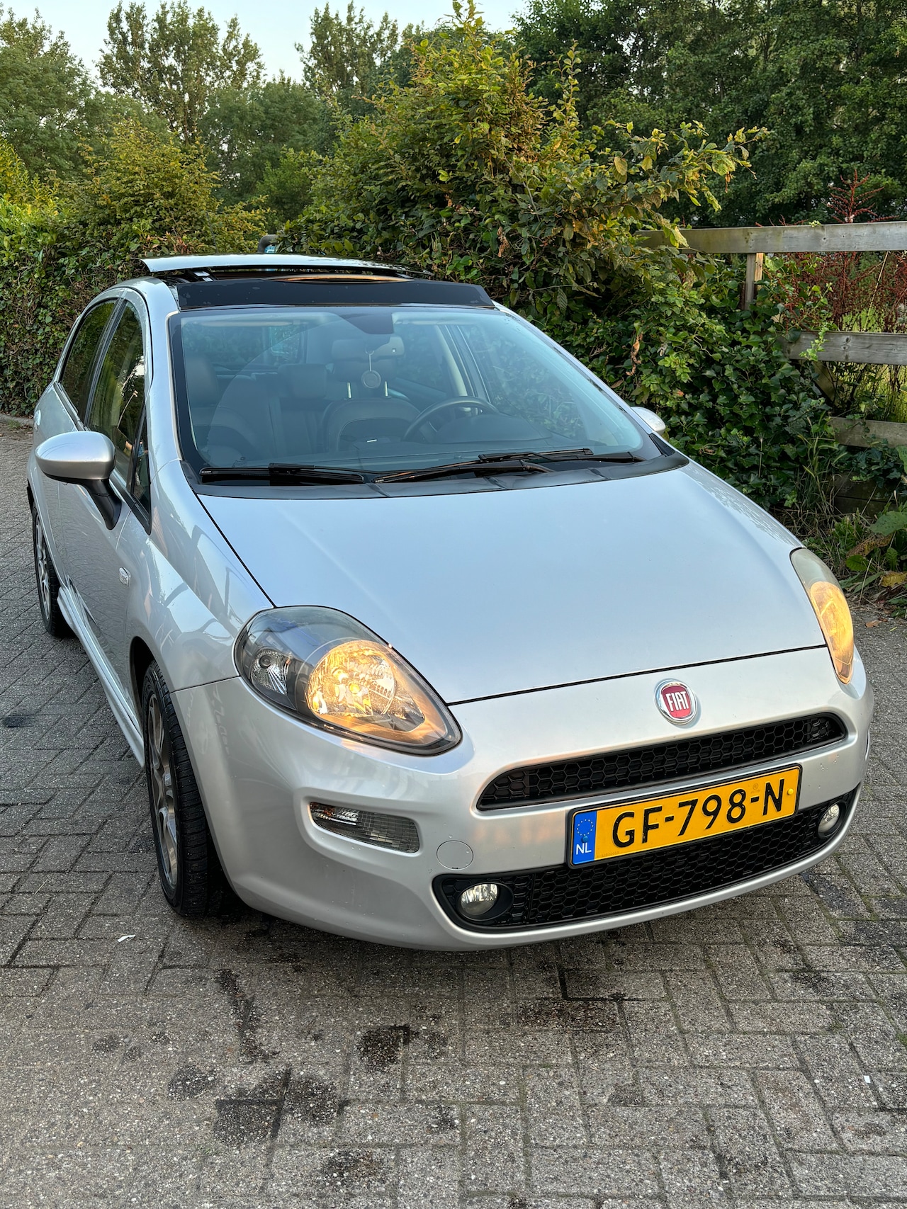 Fiat Punto Evo - 0.9 TwinAir Lounge - AutoWereld.nl