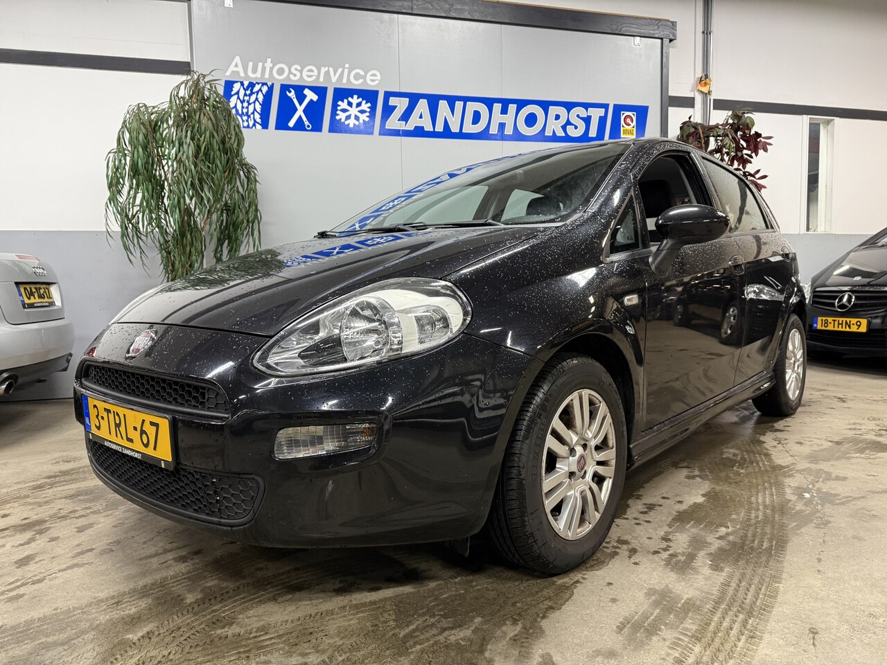 Fiat Punto Evo - 0.9 TwinAir Street 0.9 TwinAir Street - AutoWereld.nl