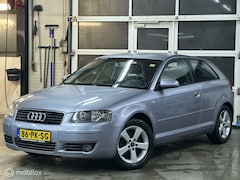 Audi A3 - 1.6 Proline APK 13-01-2026 / Stoelverwarming