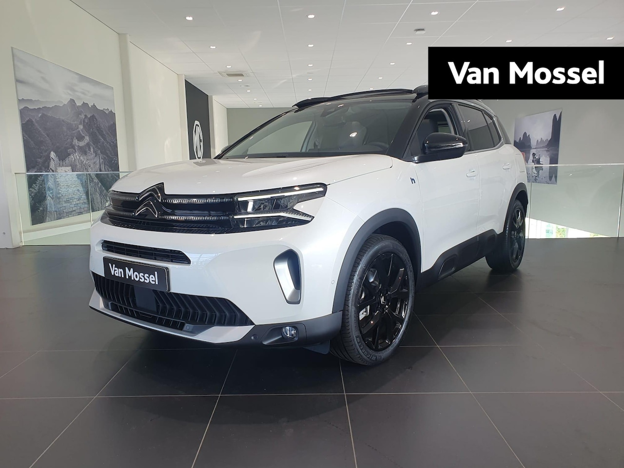 Citroën C5 Aircross - 1.6 Plug-in Hybrid ë-Series | Dodehoek Detectie | Keyless Entry | Elektrische Achterklep | - AutoWereld.nl