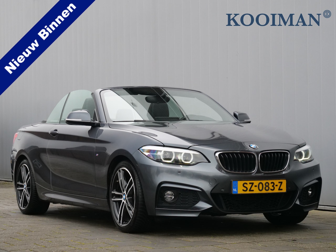 BMW 2-serie Cabrio - 220i High Executive 184 Pk Automaat Leder / Navigatie / Camera / M-pakket - AutoWereld.nl